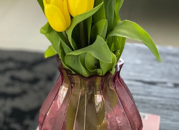 Blumen im Garten von Cottage in Heijen, Ferienhaus in Nord-Limburg.