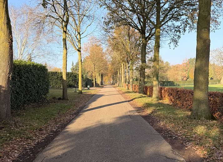 Enjoy the serene surroundings of vacation home L185 in Baarlo, North Limburg, overlooking the green landscape and rustic water feature.