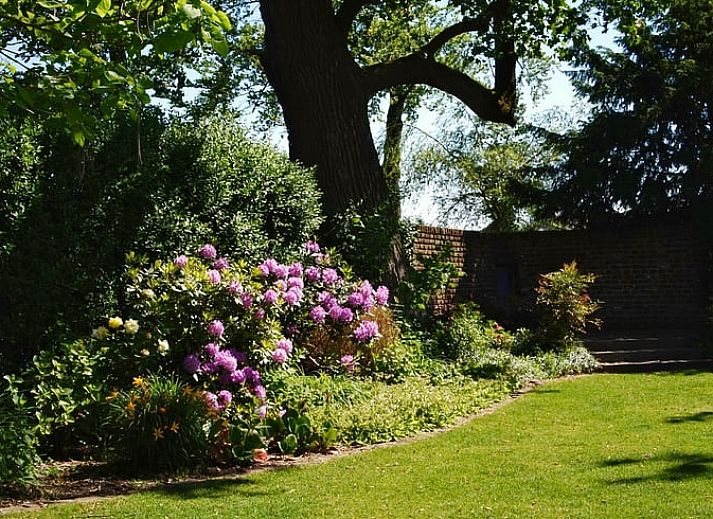 Unterkunft 383927 - Ferienhaus Noord Limburg - Vakantiehuisje in Baarlo