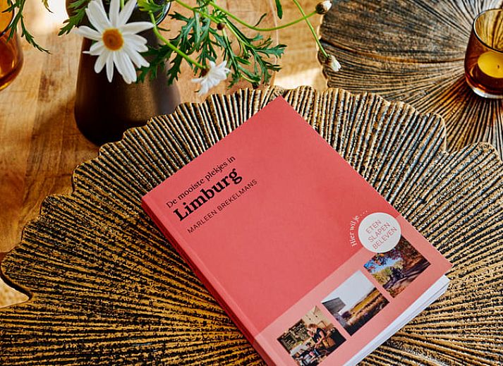 Unterkunft 383931 - Ferienhaus Noord Limburg - Huisje in Baarlo