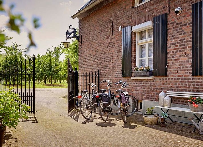 Unterkunft 383931 - Ferienhaus Noord Limburg - Huisje in Baarlo