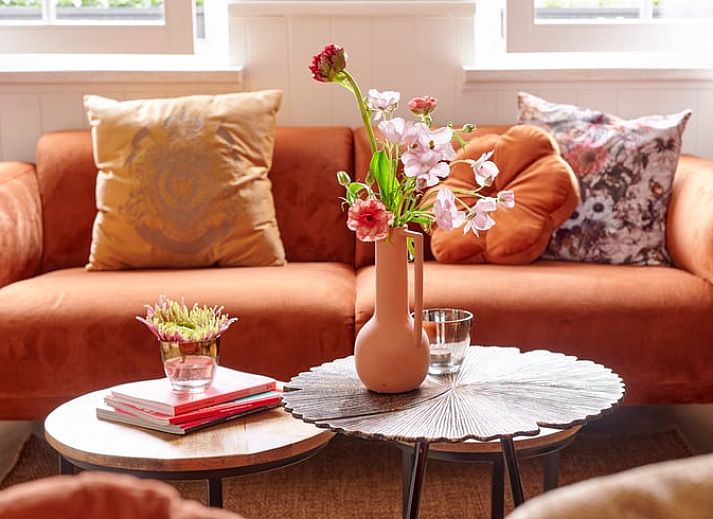 Gezellige zithoek in Huisje in Baarlo, Noord Limburg, met comfortabele banken en stijlvolle decoratie.