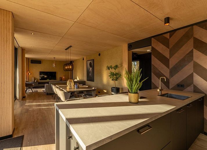 Stylish interior of Bos Villa in Maasbree, North Limburg. Luxury vacation home for 8 with modern furnishings and spacious dining area.