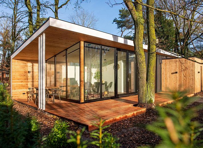 Waldhaeuschen mit Sauna und Whirlpool in Maasbree, Nord-Limburg. Geniessen Sie die moderne Veranda dieses schoenen Ferienhauses fuer 4 Personen.