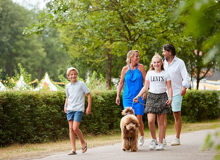 Unterkunft 384025 - Ferienhaus Noord Limburg - Bos Lodge | 6 personen