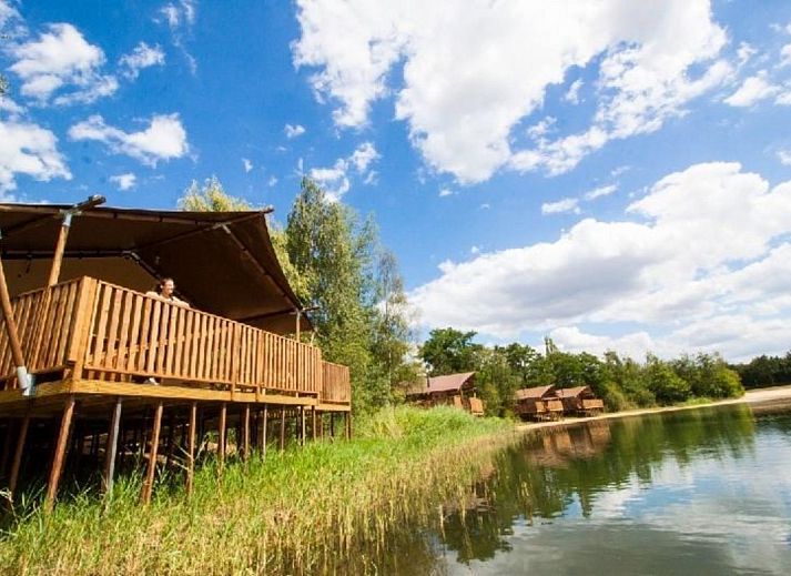 Unterkunft 384040 • Zelthaus Noord Limburg • Waterlodge WL 