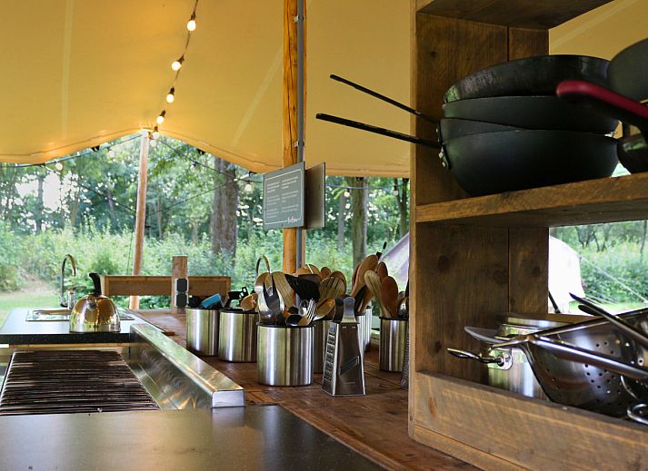 Unterkunft 384041 - Zelthaus Noord Limburg - Glamptent GT