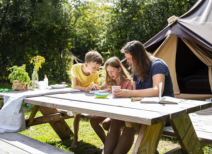 Unterkunft 384041 - Zelthaus Noord Limburg - Glamptent GT