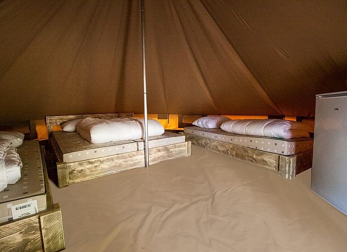 Unterkunft 384041 - Zelthaus Noord Limburg - Glamptent GT