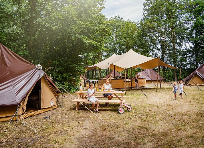 Unterkunft 384041 - Zelthaus Noord Limburg - Glamptent GT