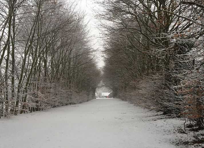 Unterkunft 384108 - Ferienhaus Noord Limburg - Vakantiehuis in Grubbenvorst
