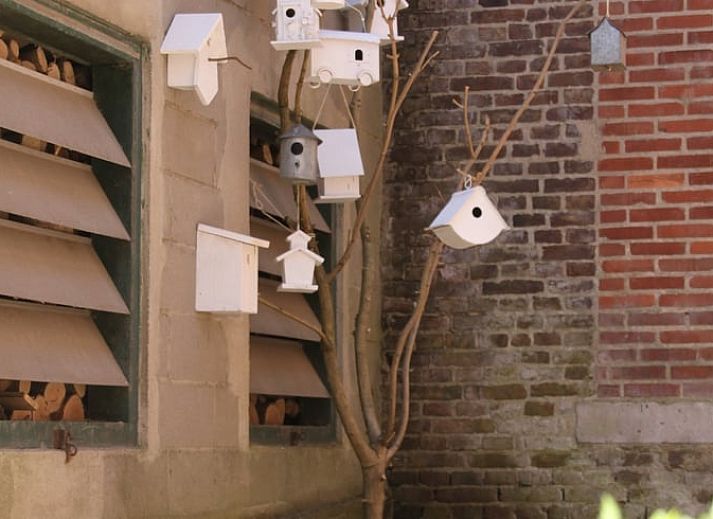 Unterkunft 384108 - Ferienhaus Noord Limburg - Vakantiehuis in Grubbenvorst