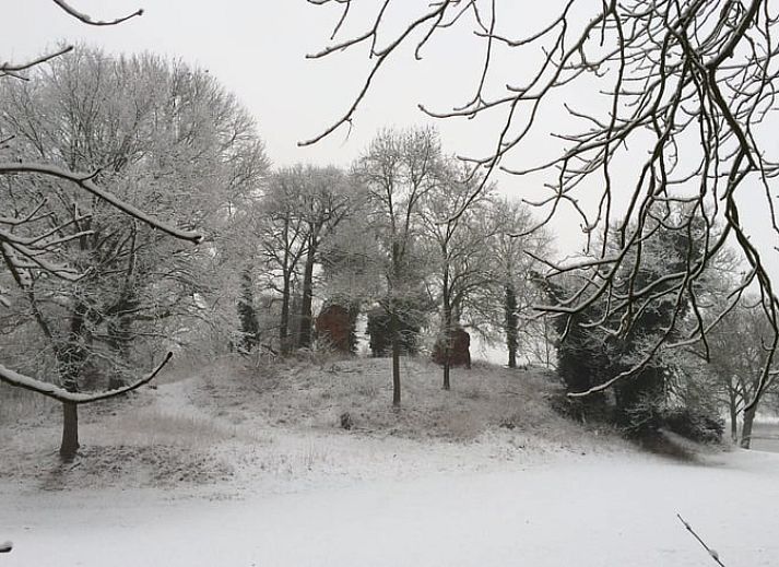 Unterkunft 384109 - Ferienhaus Noord Limburg - Huisje in Grubbenvorst