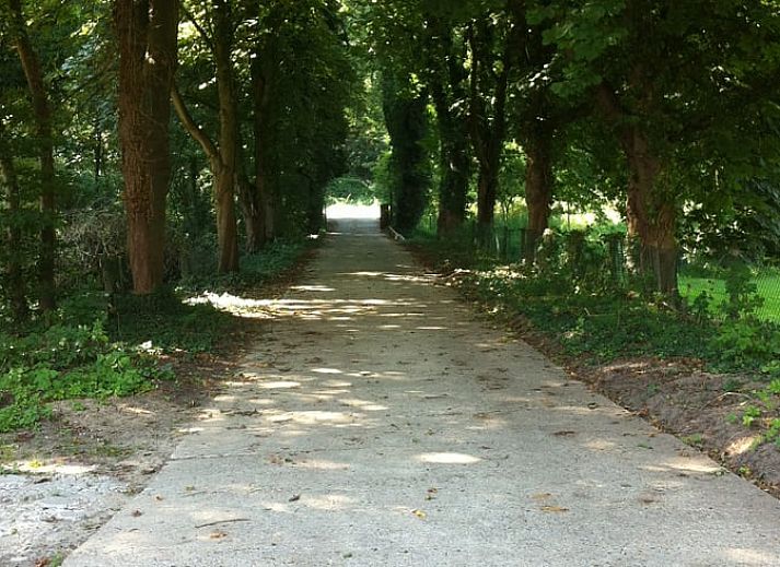 Unterkunft 384114 - Ferienhaus Noord Limburg - Vakantiehuis in Grubbenvorst