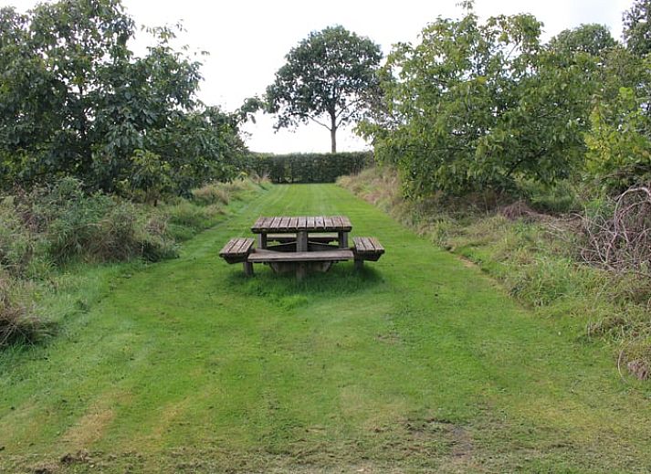 Verblijf 384208 - Vakantiewoning Noord Limburg - Vakantiehuis in Siebengewald