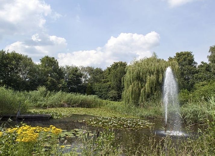 Unterkunft 384210 - Ferienhaus Noord Limburg - Huisje in Siebengewald