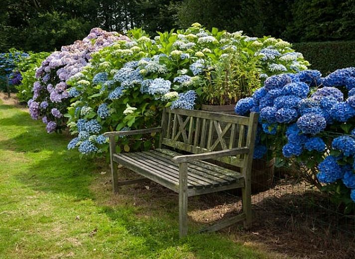 Unterkunft 384210 - Ferienhaus Noord Limburg - Huisje in Siebengewald