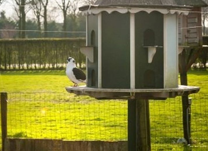 Verblijf 384211 - Vakantiewoning Noord Limburg - Vakantiehuis in Siebengewald
