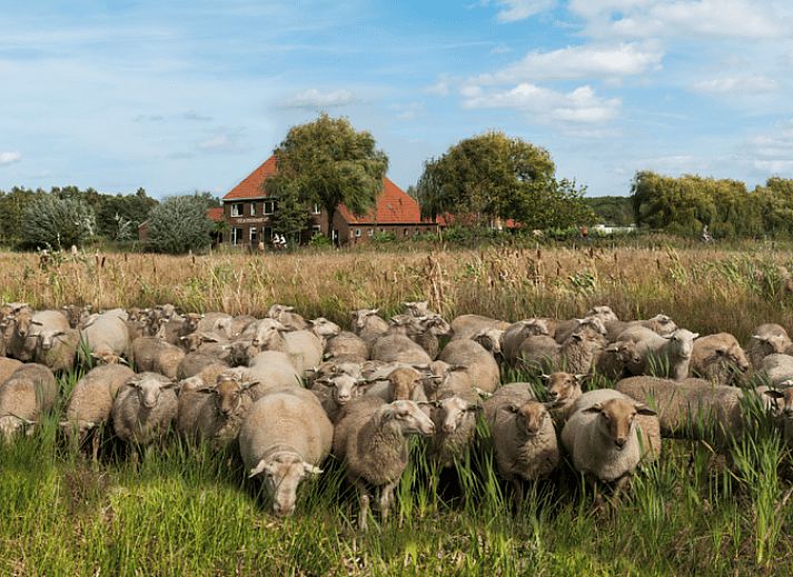 Guest house 384301 - Holiday property Noord Limburg - Vakantiehuisje in Roermond