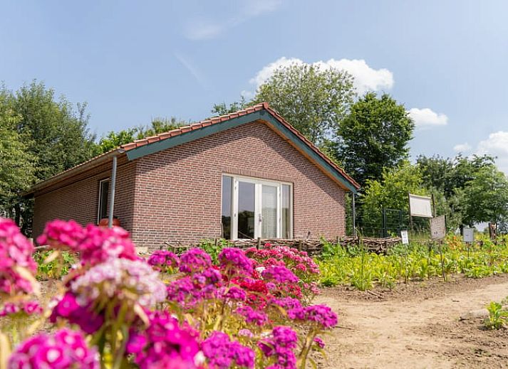 Unterkunft 384604 - Ferienhaus Noord Limburg - Huisje in Beesel