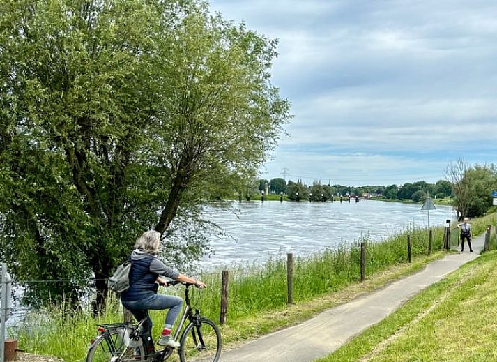 Unterkunft 384604 - Ferienhaus Noord Limburg - Huisje in Beesel