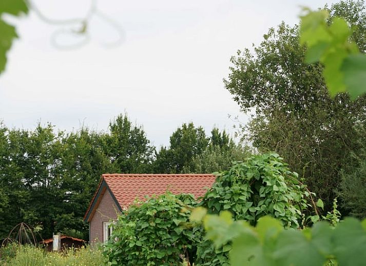Unterkunft 384604 - Ferienhaus Noord Limburg - Huisje in Beesel