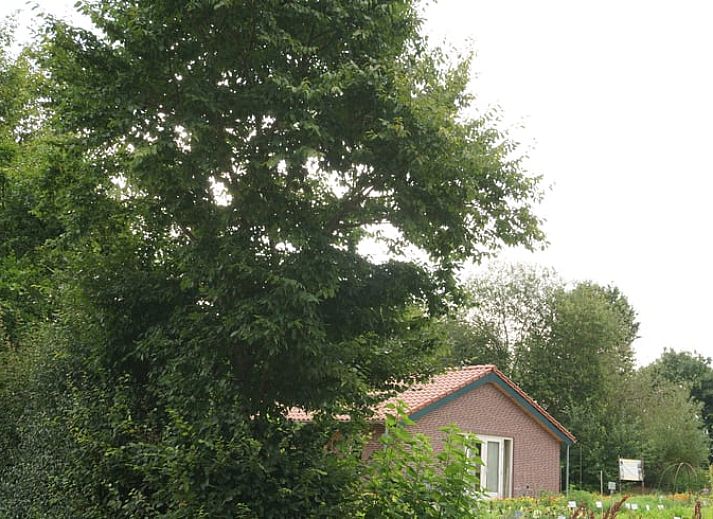 Unterkunft 384604 - Ferienhaus Noord Limburg - Huisje in Beesel