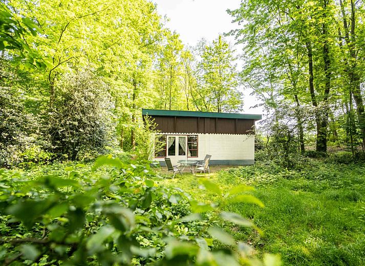 Unterkunft 384606 • Ferienhaus Noord Limburg • Bosrijk gelegen 5 persoons vakantiehuis in het Drakendorp