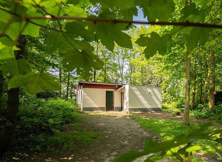 Verblijf 384606 - Vakantiewoning Noord Limburg - L284