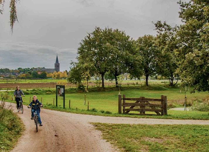 Ferienhaus L285 in Beesel, Limburg mit bunten Blumen im Vordergrund.