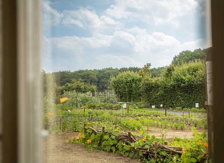 Erholsamer Wasserblick beim Ferienhaus L285 in Beesel, Nordlimburg.