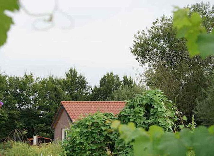 Ferienhaus L285 in Beesel, umgeben von ueppiger gruener Natur.