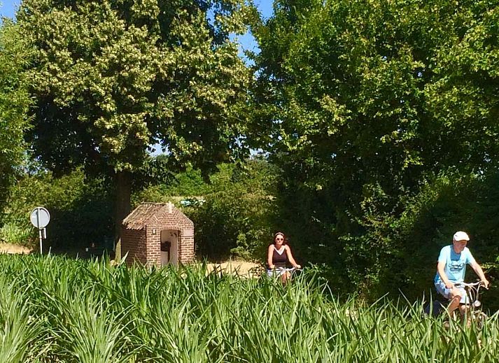 Luftaufnahme der gruenen Umgebung des Ferienhauses L285 in Beesel, Limburg.