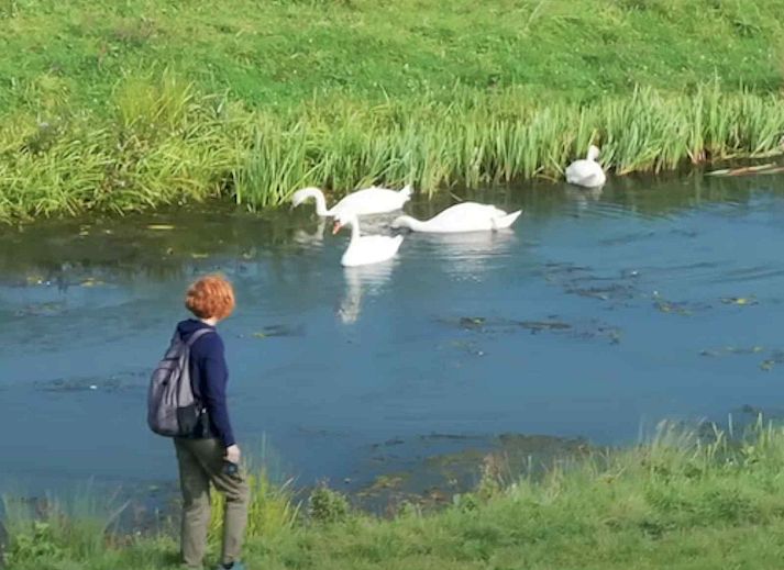 Schoene Flusslandschaft in der Naehe des Ferienhauses L285 in Beesel, Nord-Limburg.