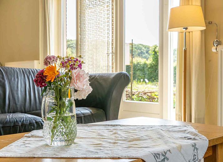 Schwaene in einem Teich in der Naehe des Ferienhauses L285 in Beesel, Limburg.