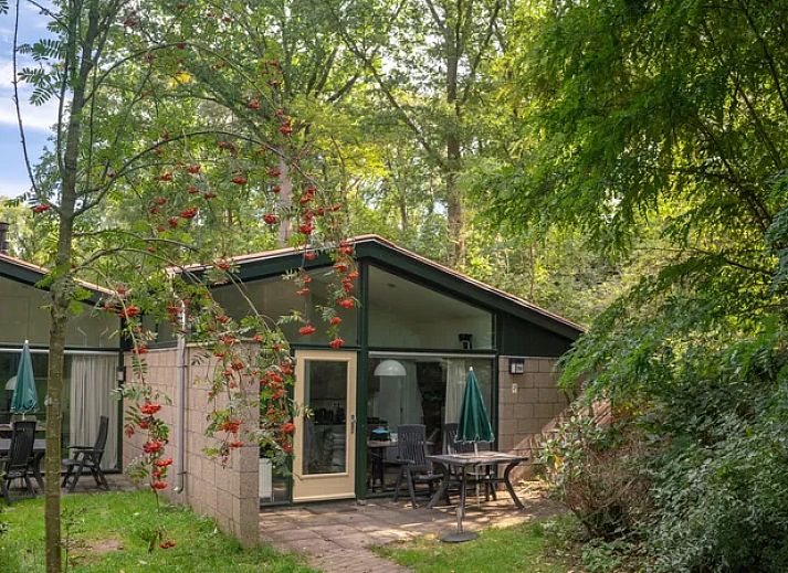 Guest house 384727 - Bungalow Noord Limburg - De Lommerbergen | 2-persoons bungalow | 2B1
