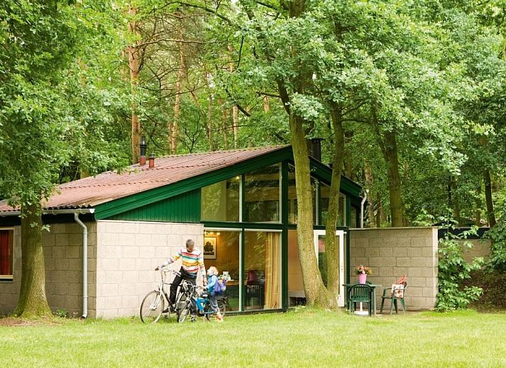 De Lommerbergen 4-Personen-Bungalow in Reuver, Limburg, umgeben von gruener Natur und ruhiger Umgebung.
