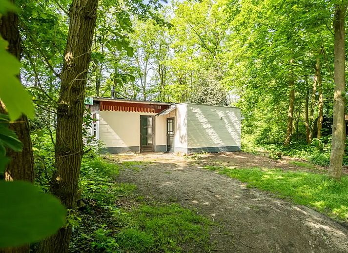 Verblijf 384736 - Vakantiewoning Noord Limburg - Boshuisje