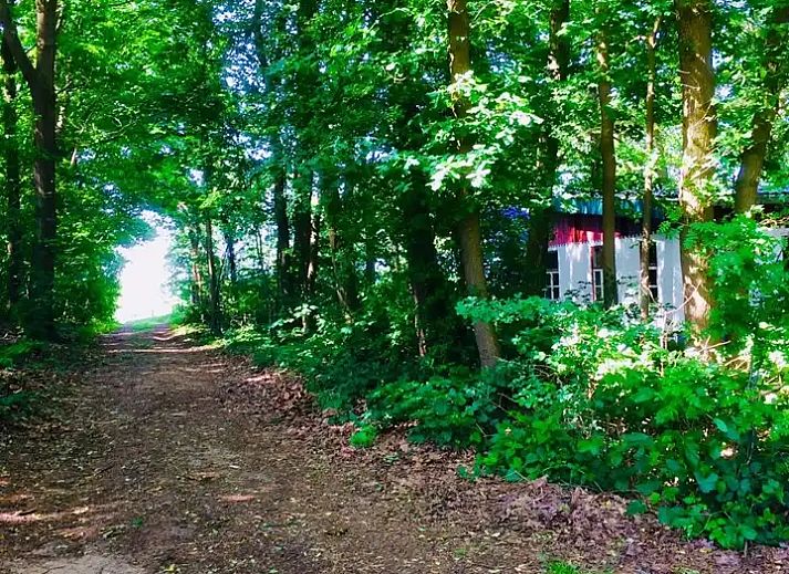 Verblijf 384736 - Vakantiewoning Noord Limburg - Boshuisje