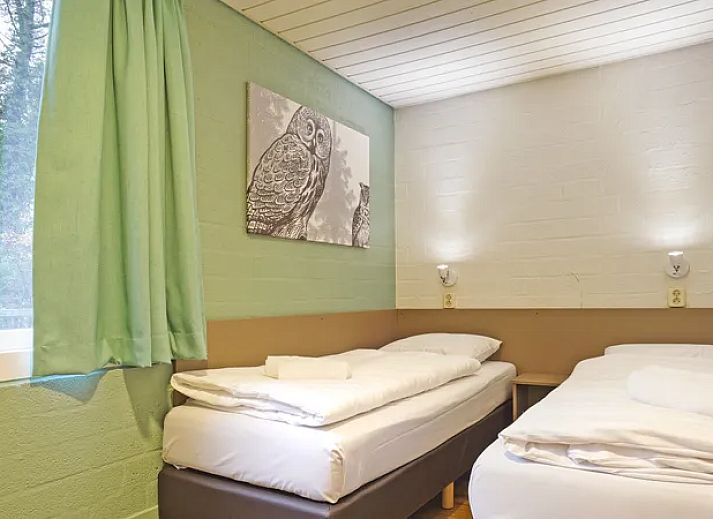 Guest house 384741 - Bungalow Noord Limburg - De Lommerbergen | 8-persoons bungalow | 8C