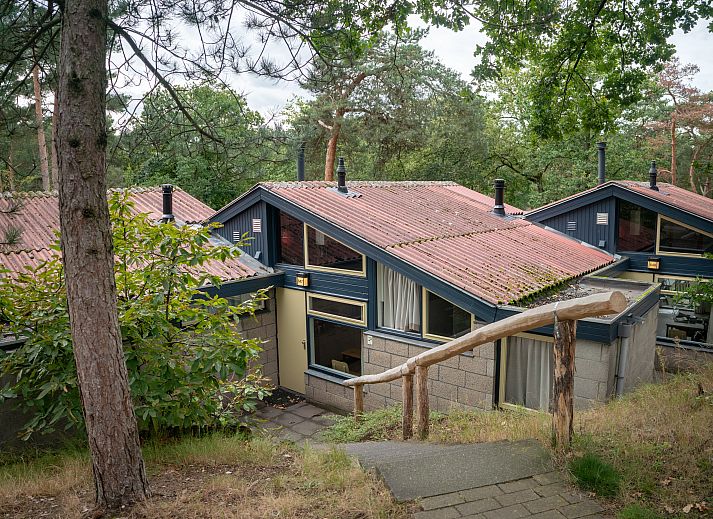 De Lommerbergen 4-persoons bungalow 4B4PT in Reuver, Noord Limburg, omgeven door groene natuur en rustgevende bosomgeving.