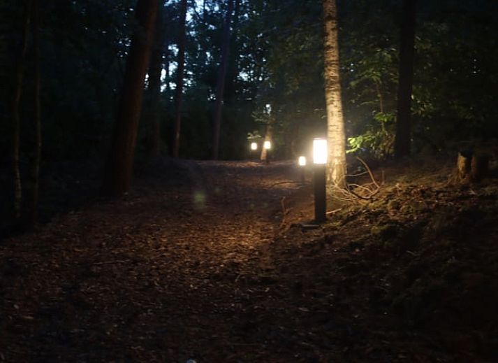 Abendlicher Blick auf die Glamping Lodge im Ferienhaus in Merselo, Nord-Limburg, umgeben von Natur.