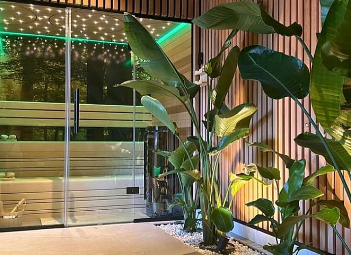 Veranda des Ferienhauses in Merselo, Nord-Limburg, mit bequemen Stuehlen und Blick auf den Teich.