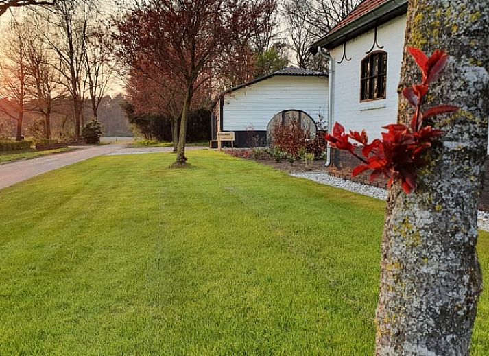 Vorderansicht von Cottage in Merselo, einem charmanten Ferienhaus in Nord-Limburg, umgeben von Natur.