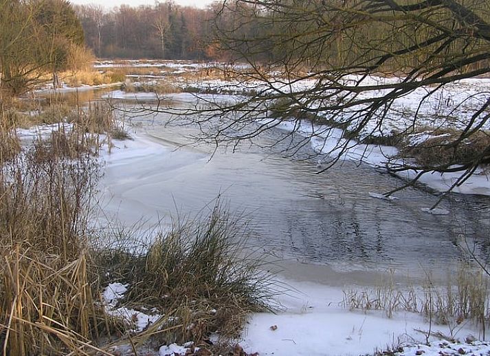 Unterkunft 385106 - Ferienhaus Noord Limburg - Vakantiehuisje in Swalmen