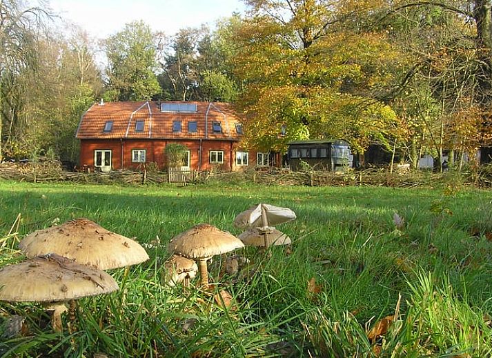 Unterkunft 385106 - Ferienhaus Noord Limburg - Vakantiehuisje in Swalmen