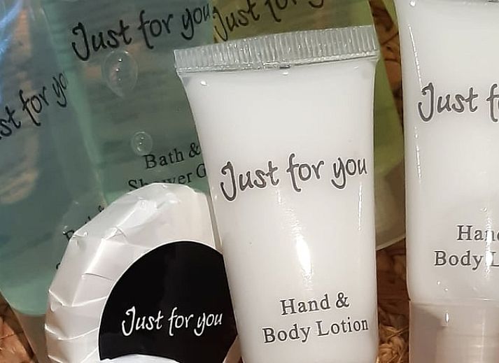 Hunting-themed decor in Holiday home in Sevenum, North Limburg, with deer antlers and rifle.