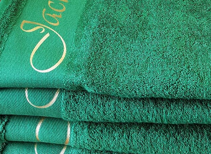 Hunting-themed decor in Holiday home in Sevenum, North Limburg, with deer antlers and rifle.