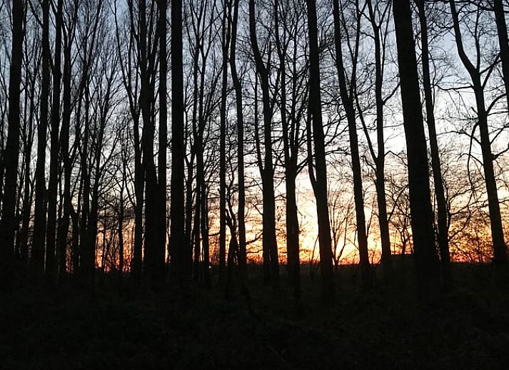 Zonsondergang bij Vakantiehuis in Sevenum, serene omgeving in Noord Limburg, Limburg.