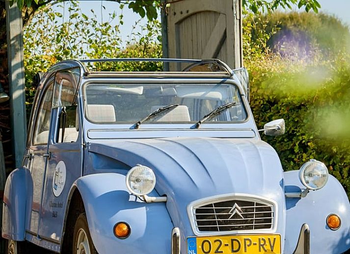 Knusse zithoek met open haard in Huisje in Sevenum, vakantiehuis in Limburg.